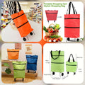 Expandable Travel Trolly Bag (Random Colours)